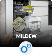 Mildew